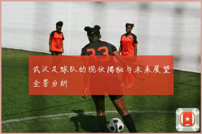 武汉足球队的现状揭秘与未来展望全景分析