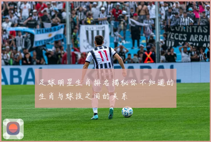 足球明星生肖排名揭秘你不知道的生肖与球技之间的关系