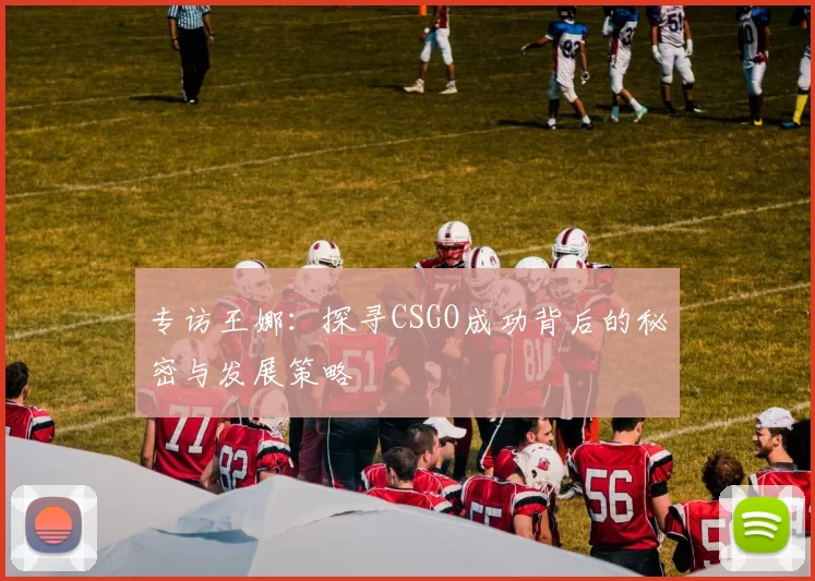 专访王娜：探寻CSGO成功背后的秘密与发展策略