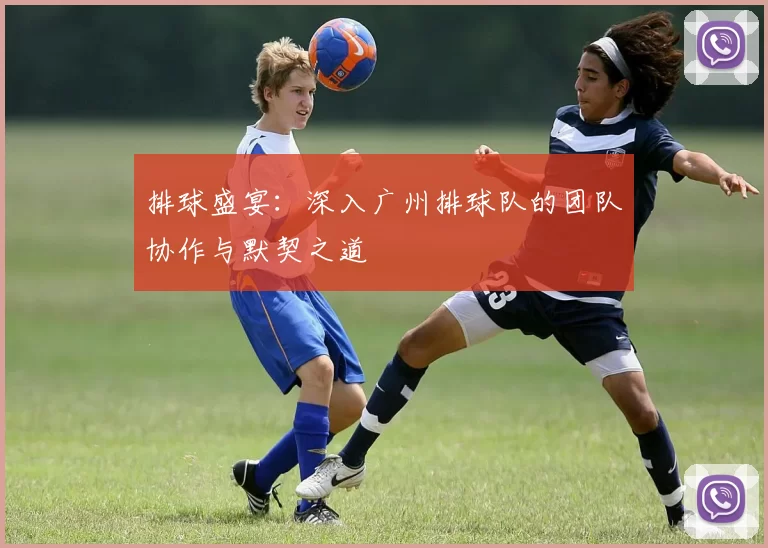 排球盛宴：深入广州排球队的团队协作与默契之道