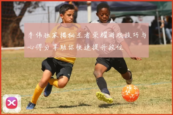 李伟独家揭秘王者荣耀游戏技巧与心得分享助你快速提升段位
