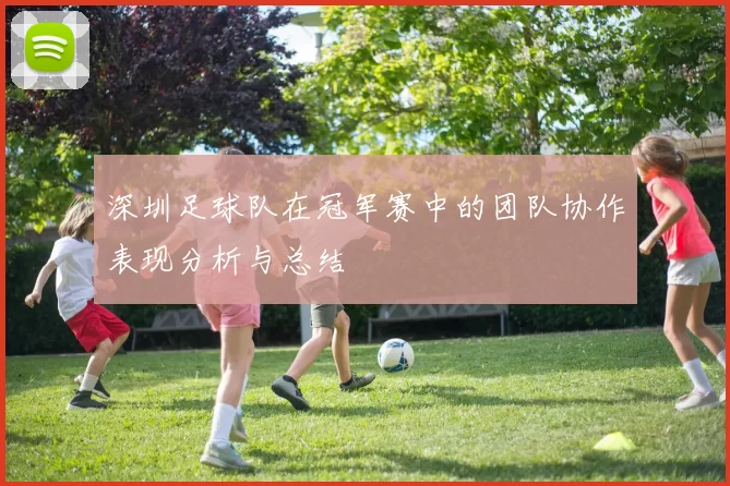 深圳足球队在冠军赛中的团队协作表现分析与总结