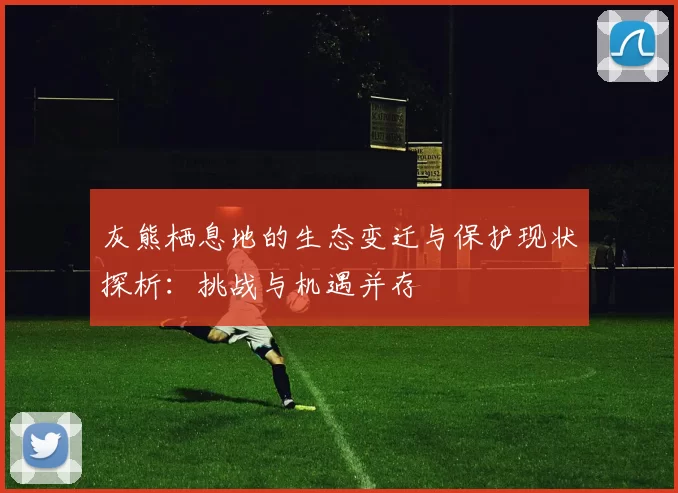 灰熊栖息地的生态变迁与保护现状探析：挑战与机遇并存