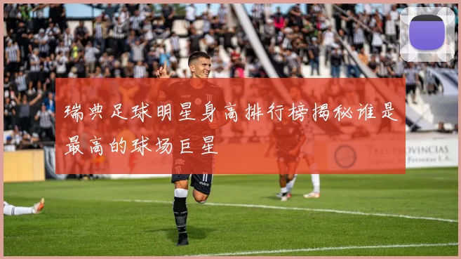 瑞典足球明星身高排行榜揭秘谁是最高的球场巨星