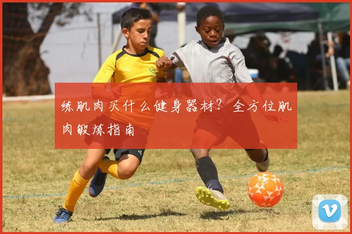 练肌肉买什么健身器材？全方位肌肉锻炼指南