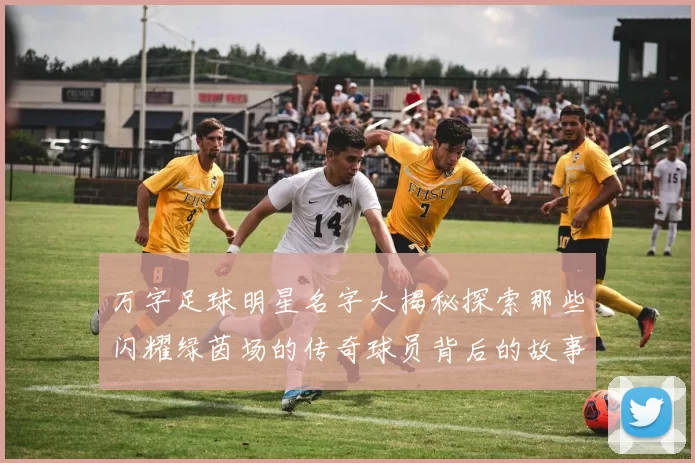 万字足球明星名字大揭秘探索那些闪耀绿茵场的传奇球员背后的故事与成就