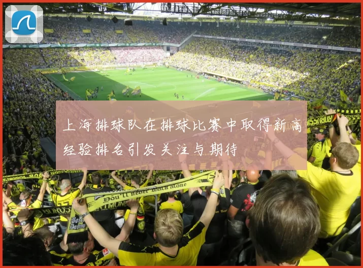 上海排球队在排球比赛中取得新高经验排名引发关注与期待