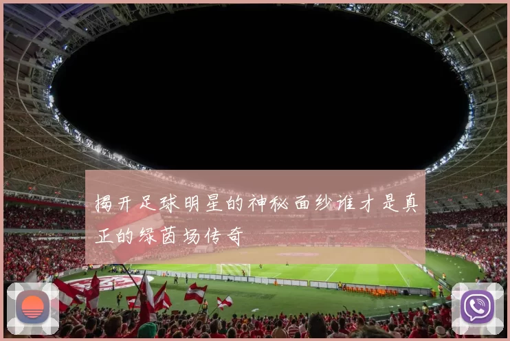 揭开足球明星的神秘面纱谁才是真正的绿茵场传奇