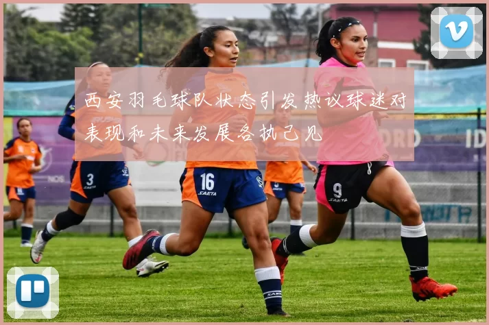 西安羽毛球队状态引发热议球迷对表现和未来发展各执己见
