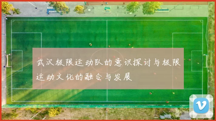 武汉极限运动队的意识探讨与极限运动文化的融合与发展