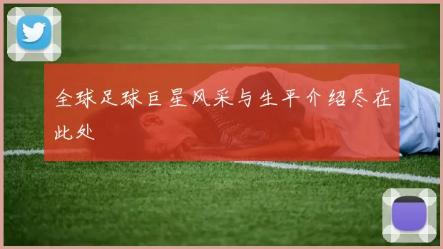 全球足球巨星风采与生平介绍尽在此处