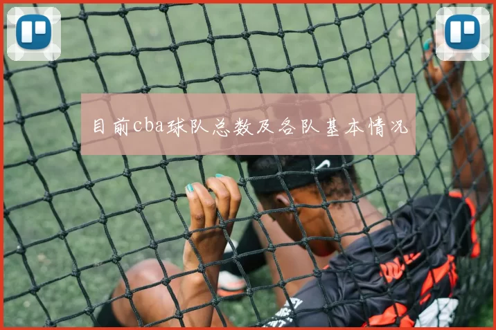 目前cba球队总数及各队基本情况