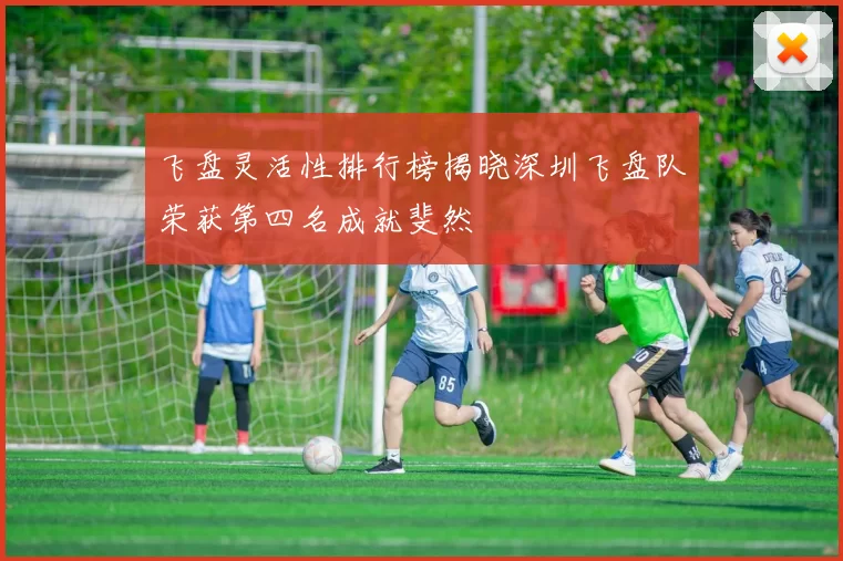 飞盘灵活性排行榜揭晓深圳飞盘队荣获第四名成就斐然
