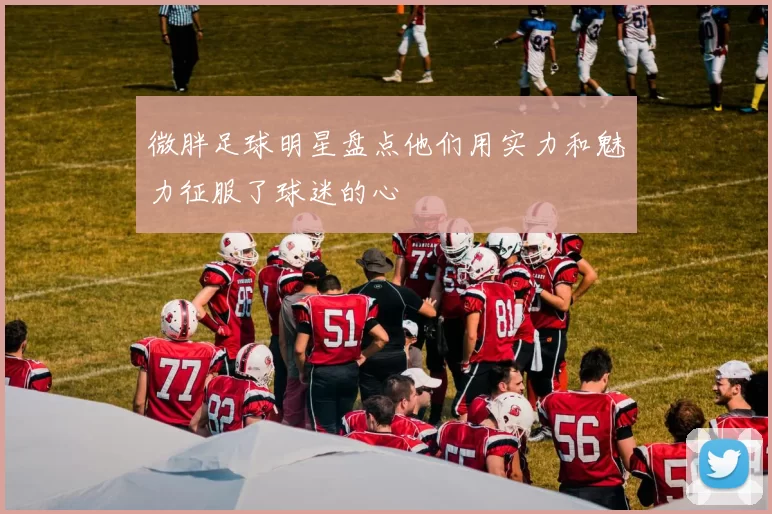 微胖足球明星盘点他们用实力和魅力征服了球迷的心