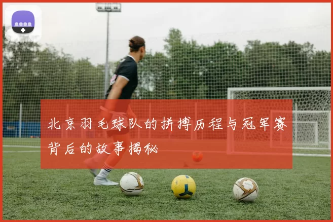 北京羽毛球队的拼搏历程与冠军赛背后的故事揭秘