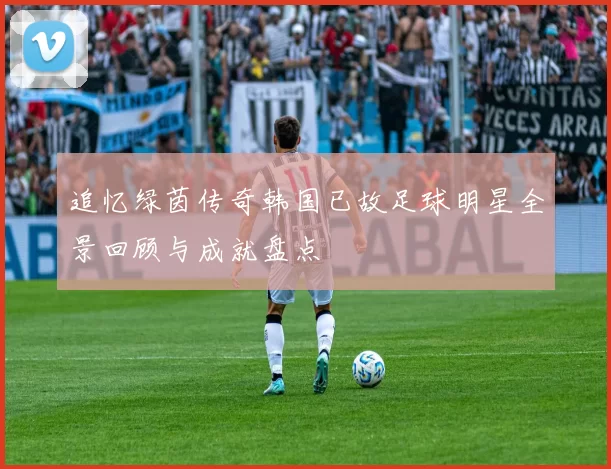 追忆绿茵传奇韩国已故足球明星全景回顾与成就盘点