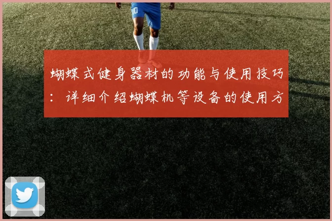 蝴蝶式健身器材的功能与使用技巧：详细介绍蝴蝶机等设备的使用方法与效果