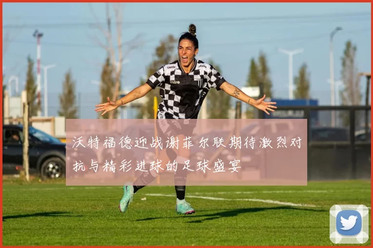 沃特福德迎战谢菲尔联期待激烈对抗与精彩进球的足球盛宴