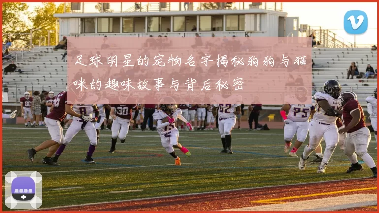 足球明星的宠物名字揭秘狗狗与猫咪的趣味故事与背后秘密