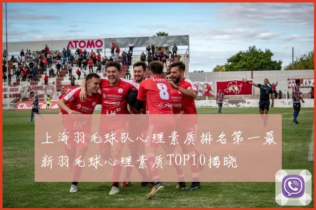 上海羽毛球队心理素质排名第一最新羽毛球心理素质TOP10揭晓