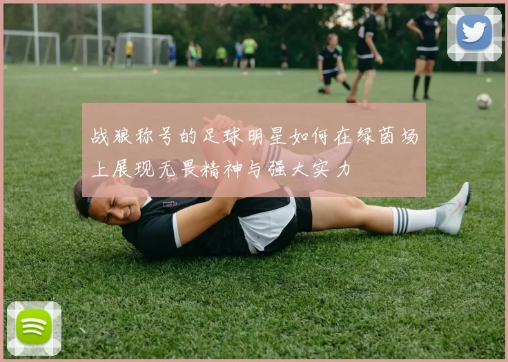 战狼称号的足球明星如何在绿茵场上展现无畏精神与强大实力