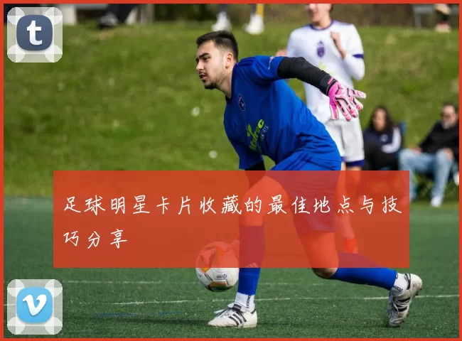足球明星卡片收藏的最佳地点与技巧分享
