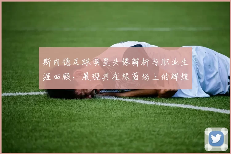 斯内德足球明星头像解析与职业生涯回顾，展现其在绿茵场上的辉煌成就与影响力